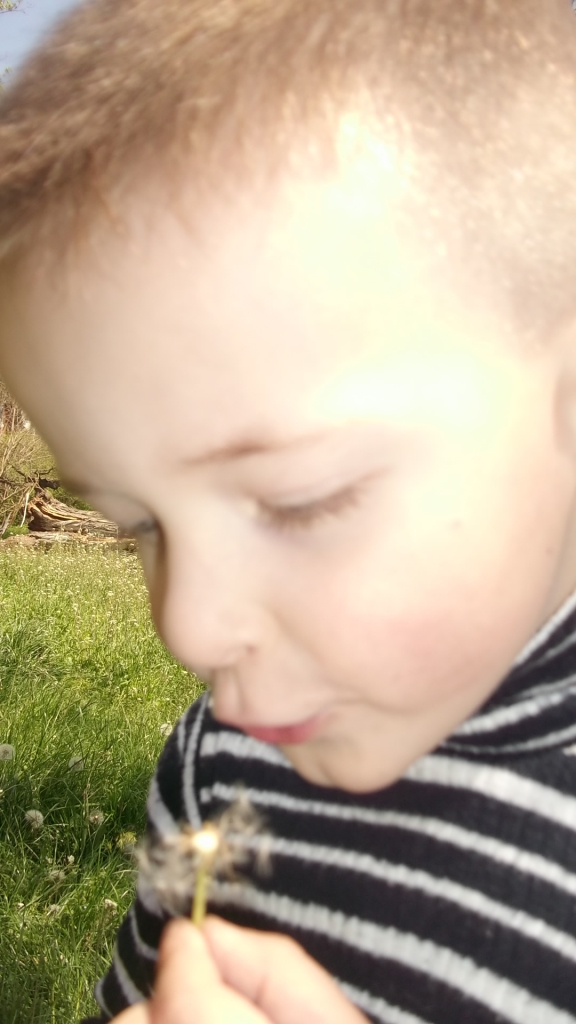 DSCF1614